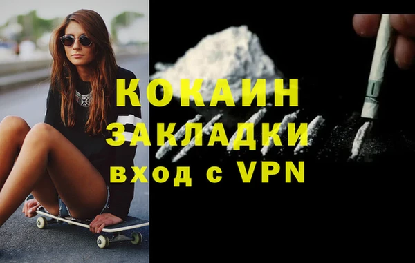 шишки Вязьма