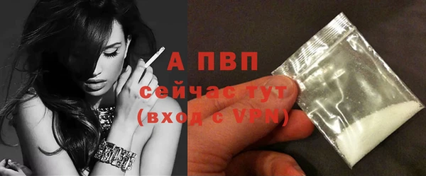 ГАЛЛЮЦИНОГЕННЫЕ ГРИБЫ Вязники