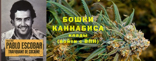 бошки Вяземский