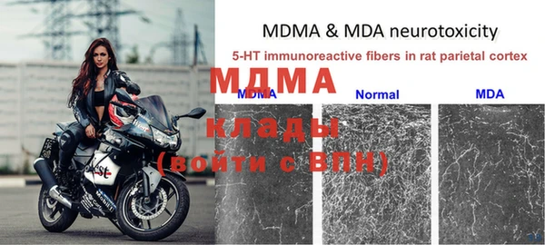 ГАЛЛЮЦИНОГЕННЫЕ ГРИБЫ Вязники