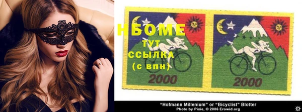 ГАЛЛЮЦИНОГЕННЫЕ ГРИБЫ Вязники