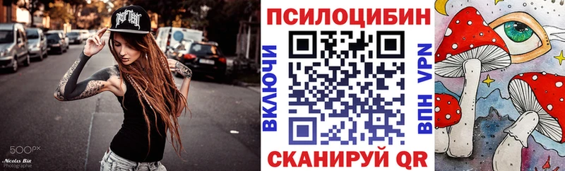 Купить  Спасск  Псилоцибиновые грибы MAGIC MUSHROOMS 